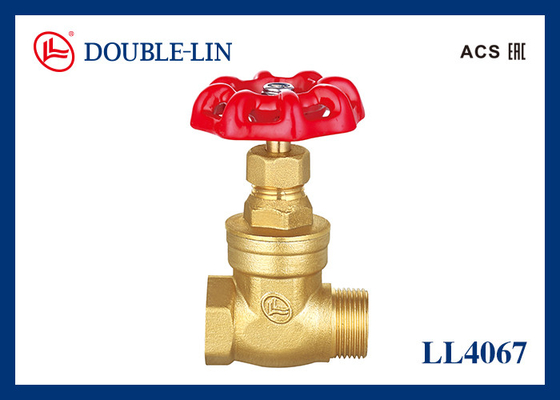 No Leakage Female X Female 1 2 Inch Brass Gate Valve LL4067