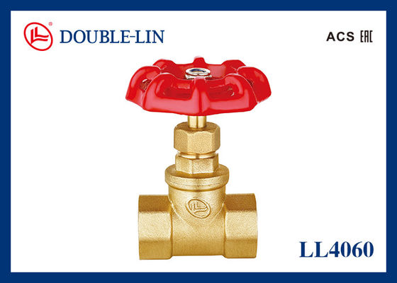 Stainless Steel Nut Female X Female 2" Brass Stop Valve